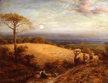 158 - 0918 - harvest