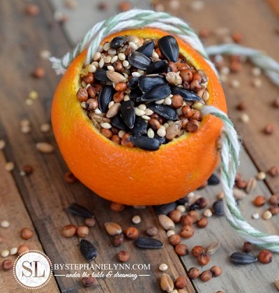 158 - blog - bird seed