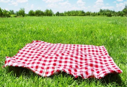 picnic mosquito repellent