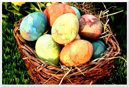 dont put all your eggs in one basket - food expression