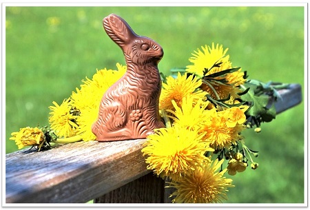 facts about chocolate bunnies