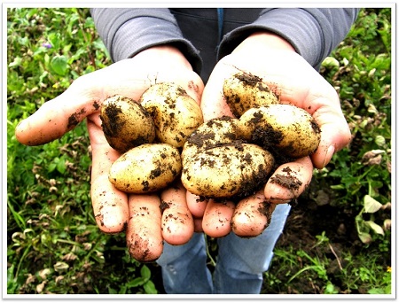 three foods that changed the world - 158 main blog