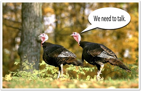 turkey talk - food idioms - 158 main restaurant - jeffersonville vt